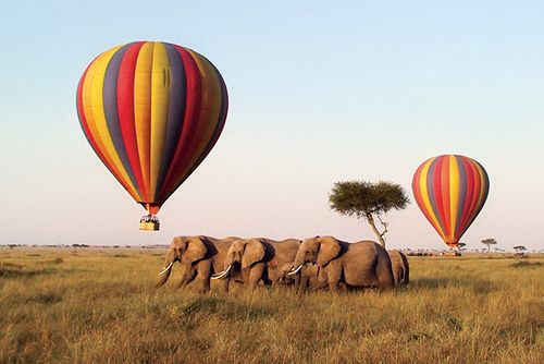 4-Day May Balloon Safari